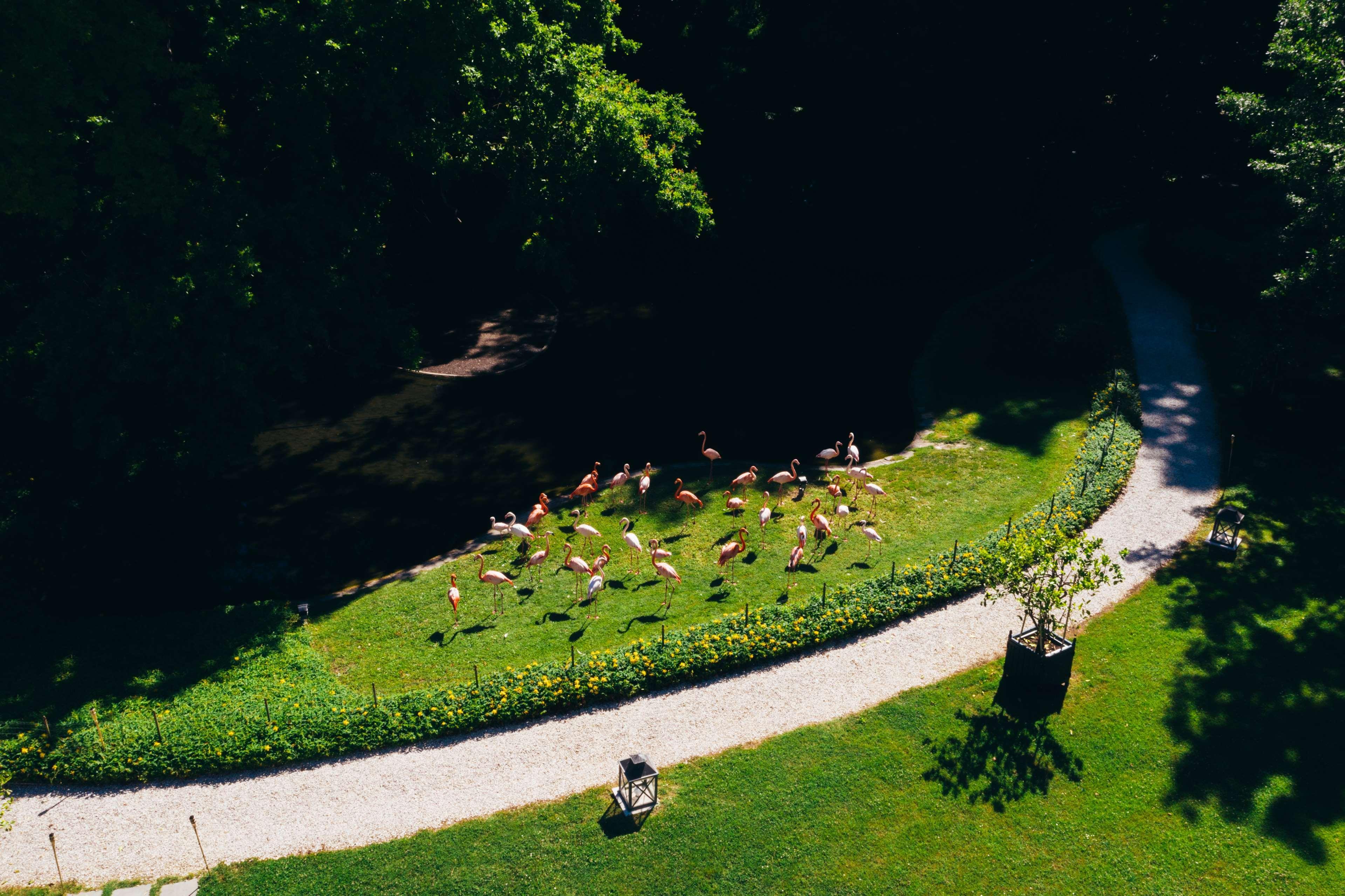 Villa Abbondanzi Resort Faenza Esterno foto