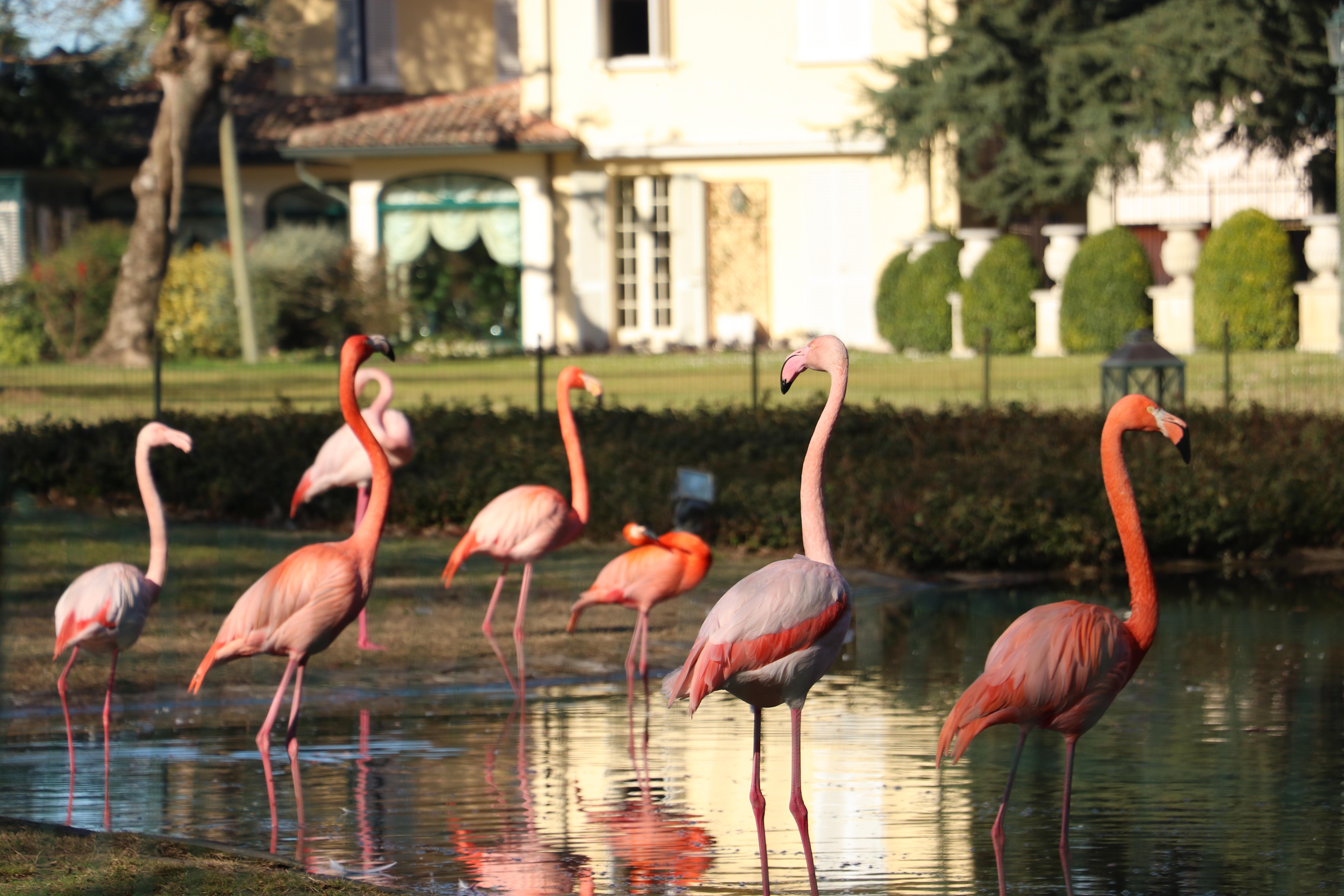 Villa Abbondanzi Resort Faenza Esterno foto
