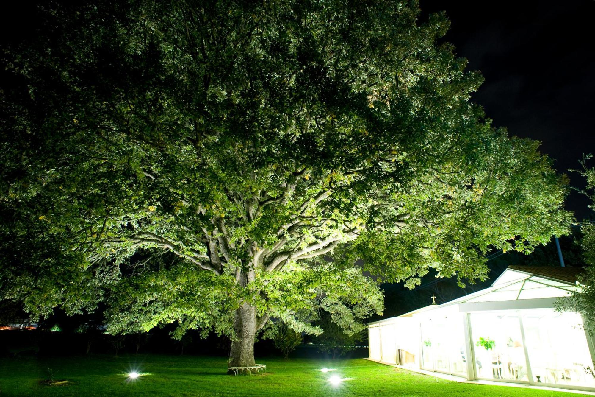 Villa Abbondanzi Resort Faenza Esterno foto